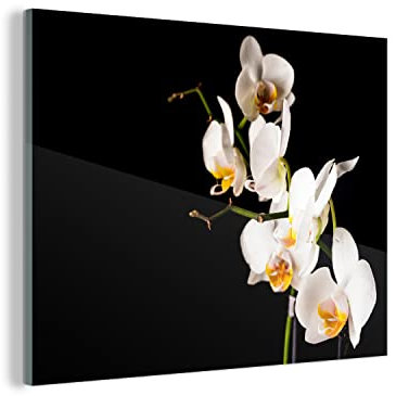 MuchoWow Glasbild Glasfoto Wandbild Bilder Deko 40x30 cm Orchidee - Blumen - Pflanzen - Botanisch