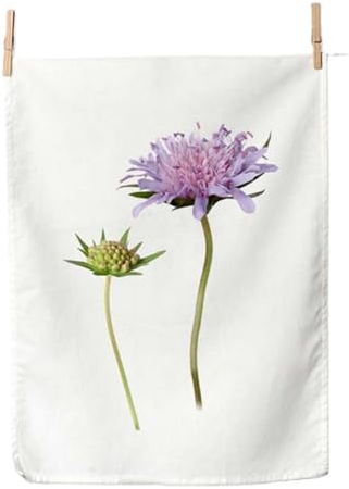 Simply Flowers - 20 - Geschirrtuch, Weiss, mit Fotodruck, Witwenblume, Baumwolle, 50cm x 70cm, waschbar bis 60 Grad