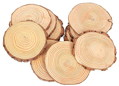 Windyeu Holzscheiben Deko Hochzeit Weihnachten 10 Stücke zum Basteln 15cm für DIY Handwerk ohne Loch Dekoration Baumscheiben