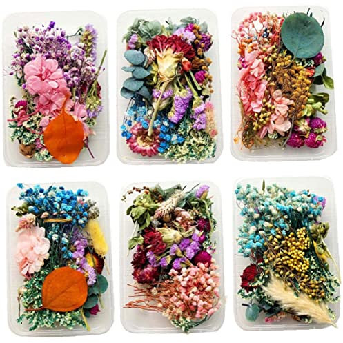 1 Box Natürliche Getrocknete Trockenpflanzen Für DIY Epoxidharz Charme Anhänger Aromatherapie Kerze Schmuck