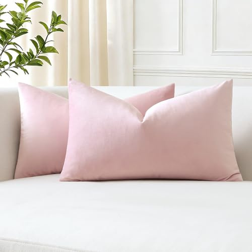 JOTOM 2er Set Samt Kissenbezüge Kissenhülle Sofakissen Dekokissen Zierkissenbezug Deko Weich Flauschig Kissenbezug für Sofa Wohnzimmer Schlafzimmer (30x50cm, Rosa)