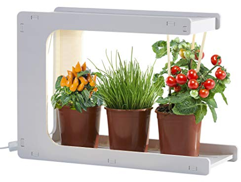 Northpoint LED Pflanzenlampe Pflanzenleuchte Kräutergarten Innengarten Gewächslampe Pflanzenlicht 14W 850 Lumen Grow Timer (C-Form)