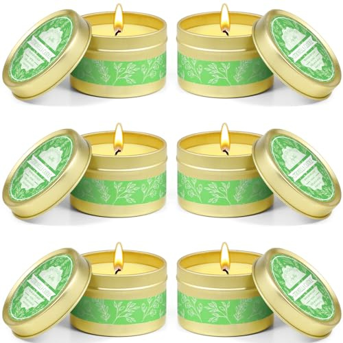 Scent-Hi Citronella Candles Outdoor 6 Pack, Soy Wax Scented Candle Gift Set | Include Citronella Essential Oil for Indoor Outdoor Use, Portable Travel Tin Candles for Patio, Garden, Picnic, Camping