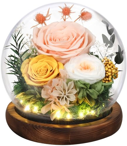 Emibele Gifts for Mom Flowers for Delivery, Birthday Gifts for Women | Preserved Real Rose in Glass Dome with LED Light, Mothers Day Anniversary Valentines Day Gifts for Wife friend Her, Champagne