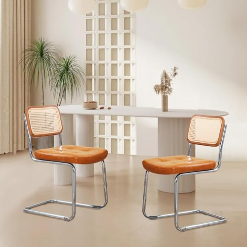 SEHAUSEU Esszimmerstuhl 2er Freischwinger Stühle Rattan Stühle Schwingstuhl Küchenstuhl Polsterstuhl mit PU Sitzpolster Belastbarkeit 130 Kg für Esszimmer und Esstisch