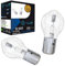Light WORLD24 BA20d S2 35/35W 12V Faro halógeno para motocicleta, superbrillante, luz de cruce, scooter, scooter, scooter, Bilux, juego de 2 unidades