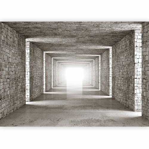 murando PREMIUM Fotomurales 3D Tunel 200x140 cm Papel pintado tejido no tejido Decoración de Pared decorativos Murales moderna de Diseno Fotográfico Pared Ladrillo Abstracto d-B-0409-a-a