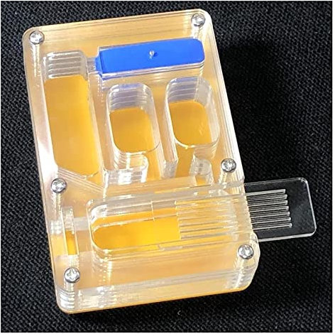 RANARA Ameisenzuchtnest, Ant Farm Display Box, 9 x 66 x 24 mm Ameisenfarm Ameisennest Insekt Ameisennester Villa Pet Mania Haus for Füttern von Insekten (Color : Blue) (Color : Giallo)
