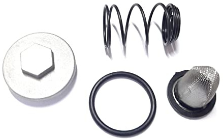 Ölfilter Set für 50ccm 139QMB 139QMA 4T Chinaroller Ölablassschraube Dichtung Feder Sieb