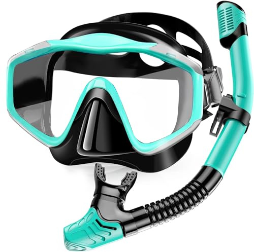 Snorkeling Gear for Adults,Dry-Top Snorkel Set with Tempered Glass,Anti-Fog & Anti-Leak Panoramic Swim Mask, Adjustable Snorkel Kit with Carry Bag for Scuba Diving, Swimming,Travel