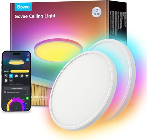 Govee Deckenlampe RGBIC 2400lm, 24W Deckenleuchte Dimmbar, Ø30cm, 2 Stück | 2700K–6500K, 16 Mio. DIY-Farben, 71+ Szenen, Kompatibel mit Alexa & Google, Einfache Installation, Wohnzimmer Schlafzimmer