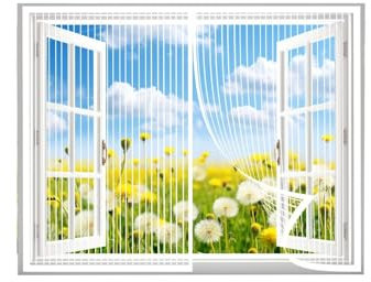Fly Screen Roller Blind, Automatic Closing Mosquito net Fly Screen Doors, 105 x 175 cm for Windows and Doors, Easy to Install, White