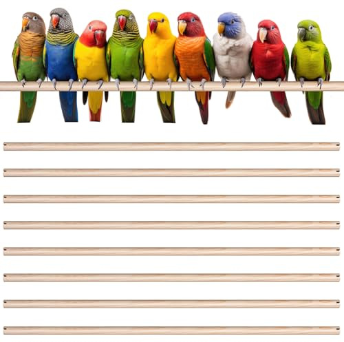Sintuff 8 Pcs Bird Perches for Cage Accessories, Wooden Perch Rods Replacement with Double Head Slots, 0.6 Inch Diameter Natural Wood Stand for Parrot Macaw Cockatoo Parakeet(24 Inches)