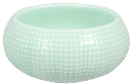 ibasenice Cuenco de Cerámica para Salsa y Caviar, Mini Plato para Ostras y Sashimi, Recipiente para Cocina y Decoración de Mesas