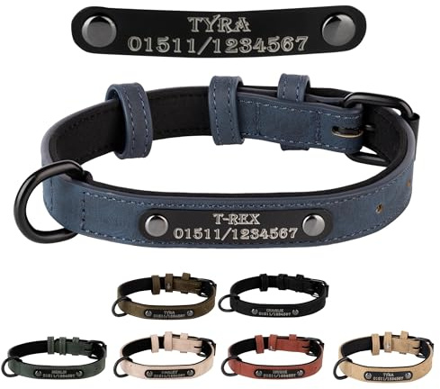 Jacks O Be Hundehalsband Halsband Name Gravur personalisiert Haustier Hund Katze Leder (Blau, S)