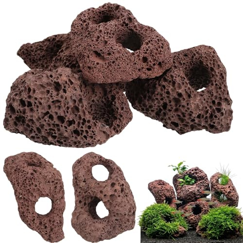 DOITOOL 6 Pcs Lava Rock for Aquarium, Volcanic Rock Pumice Stones Fish Tank Cave Decor, Aquatic Plant Fixer Anchor for Java Moss Anubias Aquascaping Shrimp Betta Turtle Tank Plants