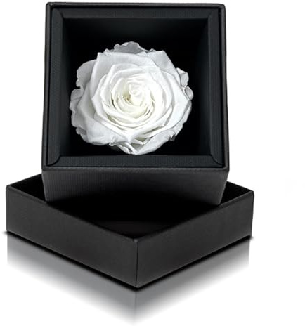 Aluisi Fiori Rosa Stabilizzata Bianca in Cofanetto Nero - Rosa Stabilizzata Vera - Rosa Eterna - Fiore Stabilizzato - Fiori Stabilizzati - Simbolo di Purezza e Nuovi Inizi - Idea Regalo