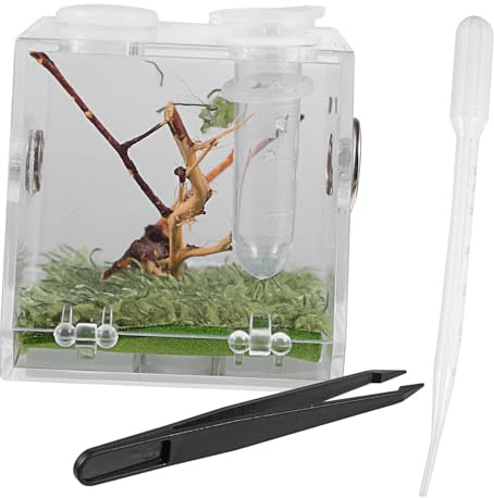 Milisten Acryl Reptilienkäfig Mit Belüftung Inklusive Pipette Und Pinzette Transportable Fütterungsbox Für Kleine Springspinnen Und Kriechtiere Geeignet Für Terrarien Und Aquascaping
