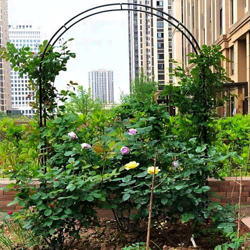 Arche de jardin en métal pour plantes grimpantes, 100-180 cm de large, pergola en fer résistant aux intempéries, finition noire (140 x 230 cm), parfaite pour les roses et les vignes