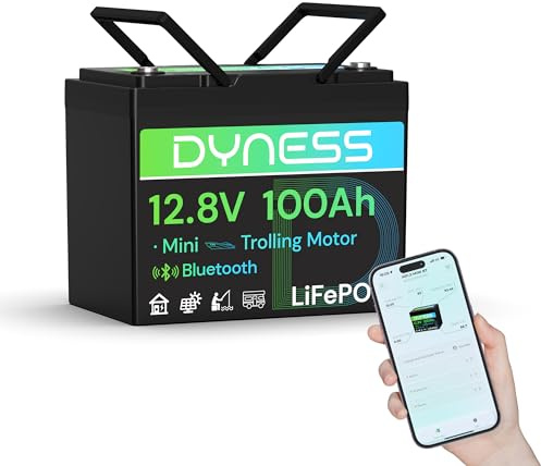 Dyness LiFePO4 12V 100Ah Lithium Batterie Bluetooth Mini mit 100A BMS, Max.15000 Zyklen, 12V Deep Cycle Lithium Eisenphosphat Batterie für Wohnwagen, Solar Home Systeme, Boote