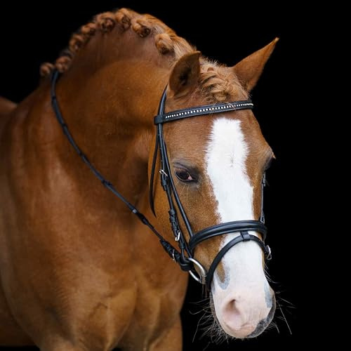 Imperial Riding Shetty-Trense IRH Stormy, Zaumzeug für Mini-Shettys und Shetlandponys mit Strass-Stirnband, Leder, Schwarz-Kristall