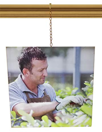 Brass Gold Chain Picture Hanging System Moulding Hook for Traditional Victorian Dado Rail (kit with 2 Meter Long Chain)