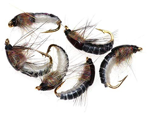 LSB-Köder, 6 Stück/Set #12 Realistische Nymphe Scud Fly zum Forellenangeln, künstliche Insektenköder, simulierter Scud-Wurm-Angelköder (Farbe: Show