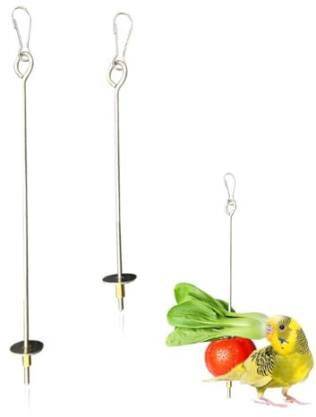 2 Stück Edelstahl Vogel-Spieß für Papageien Vogel Obst Halter Edelstahl Obst- und Gemüsehalter Frucht Gemüse-Spieß Werkzeug für Vögel Papageien, Wellensittiche,Gemüse und Futtersuche Spielzeug