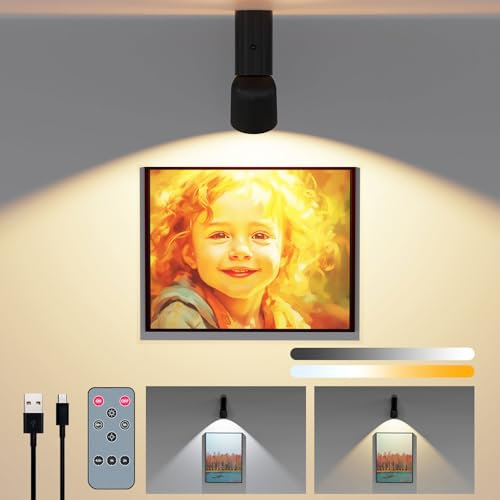 Coollamp Wireless Picture Light for Wall, 6000mAh Battery Operated Wall Lights, Painting Lights with Adjustable Focus 2 Color Temperatures Dimmer Timer Remote Control, Led Spot Lights for Ceiling