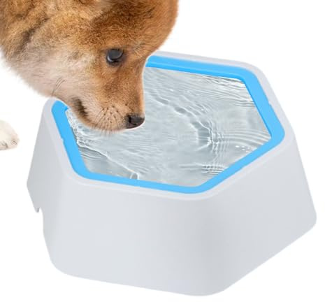 Wassernapf für Hunde, Spritzschutz, spritzwassergeschützt, rutschfester Trinkspender für Haustiere, Katzen, Hunde, Tiere, drinnen und draußen