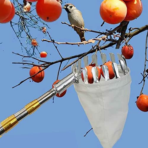 LBSI Cueille Pomme Telescopique, Ramasse Noix avec Manche, Évolutif 2-7M, Metal Clamp, Équipement de Cueillette de Fruits pour La Récolte de Poire Citron Orange (Size : 6m(19.6ft))