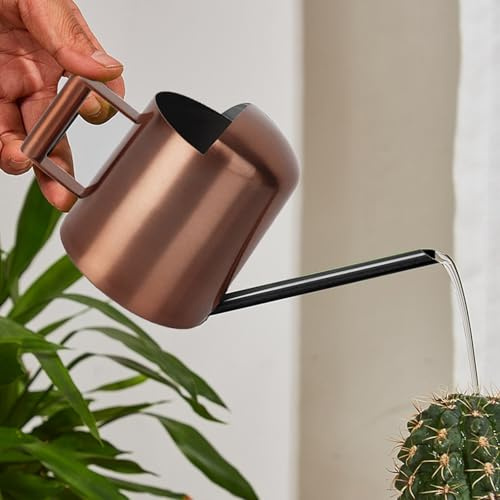 300ml Edelstahl Gießkanne mit Langem Auslauf für Zimmerpflanzen, Balkonpflanzen - Klein für Sukkulenten, Innen Wohnung, Home, Büro (Bronze)