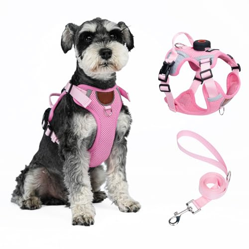 Katzengeschirr und Leine, Set mit AirTag-Halter, ausbruchsichere, verstellbare Kätzchen-Weste mit Leine für große Katzen, fette, kleine Hunde, Welpen, weiche, atmungsaktive Netzjacke mit