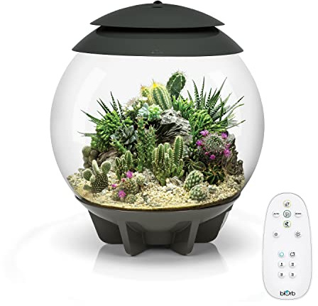 biOrb AIR 30, Fully Automated Terrarium for Arid, Temperate, or Tropical Plants, Gray