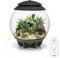 biOrb 71749 AIR 30, grau - automatisches Terrarium zur bequemen Pflanzenpflege, geeignet für empfindliche und exotische Pflanzen