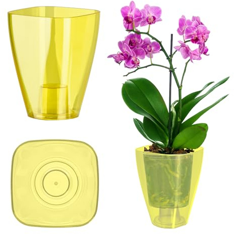 KADAX Pot à orchidées, pour orchidée, juvénile, Marguerite, pour Cuisine et Salon (diamètre 9 cm, rectangulaire, Jaune)