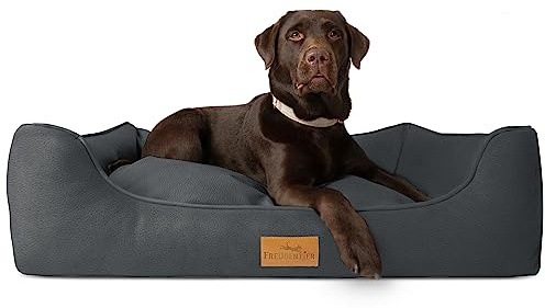 FREUDENTIER Orthopädisches Hundebett, Waschbar, Herausnehmbares Liegekissen