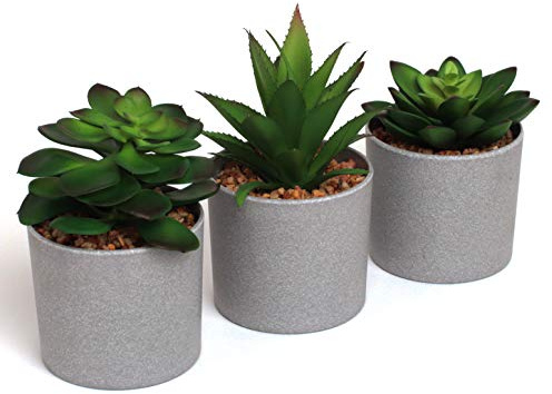 EB Designs Set of 3 Artificial Succulent Plants – Fake Greenery in Grey Pots with Pebbles – Decorative Faux Plants for Home, Office, Indoor & Outdoor Use