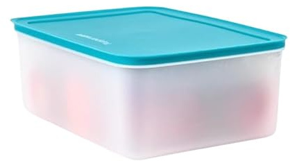 New Tupperware Tupperware - Recipiente extragrande para congelador, 5,7 L, 24 tazas, sello azul