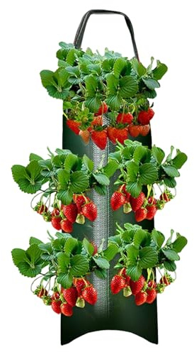 Ylnailky Pflanzsack | 4/6/8/10 Löcher Pflanztaschen Hängend | Vertikale Garten Pflanzwand | Pflanztaschen Für Draußen Hängend | Pflanzbeutel Für Blumen Tomaten Kräuter Gemüse