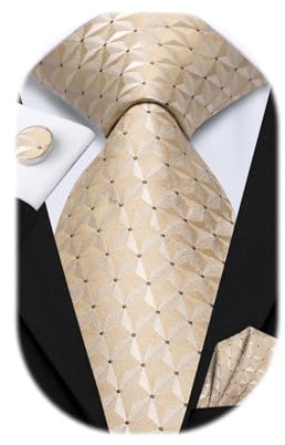Hi-Tie Mens 63inch Extra Long Tie Champagne Checks Striped XL Necktie Set for Big Tall Men Handkerchief Cufflinks Wedding