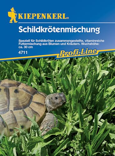 Kiepenkerl 4711 Schildkrötenmischung (Kleintiersaaten)