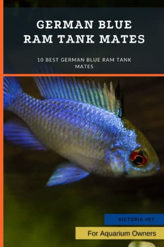 German Blue Ram Tank Mates: 10 Best German Blue Ram Tank Mates