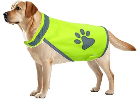 Hundewarnweste Reflektierend - Sicherheitsweste Für Hunde mit Klettverschluss Warnweste Auto Hund - Auto & Nachtspaziergänge - Für alle Hunderassen Labrador, Golden Retriever etc (EIN Grün)