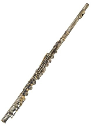 flöte C-Taste 16-Loch-Flötenset, Geschlossenes Loch, C-Flöte Mit Koffer, Stab, Wischtuch Und Handschuhen Für Anfänger, Musikliebhaber (Color : Green)