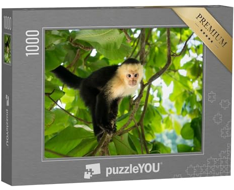 puzzleYOU: Puzzle 1000 Teile „Weißkopfkapuzineräffchen, Manuel Antonio, Regenwald von Costa Rica“ – aus der Puzzle-Kollektion Affen, Tiere in Dschungel & Regenwald