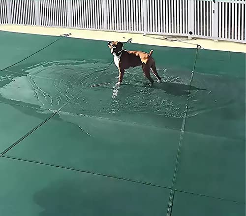 Pool Sicherheitsabdeckung Springs Solar Cover Plane / Winter Mesh Leaf Net, Rechteckabdeckung Para Piscina Mit Messing Zubehör Und Werkzeug, Inground Pools Eliminator Planen, Für Square Pool ( Color :