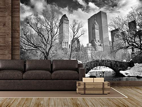 Oedim Fotomural Vinilo para Pared Central Park Blanco y Negro | Fotomural para Paredes | Mural | Vinilo Decorativo |350 x 250 cm | Decoración comedores, Salones, Habitaciones