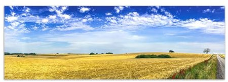 Ernte Panorama Leinwand Bild XXL,Landschaftsbilder Gemälde Druck auf Leinwand.Panorama Kunstdruck Natur Poster,Leinwand WandKunst Bilder50x150cm(20x59in) Rahmenlos