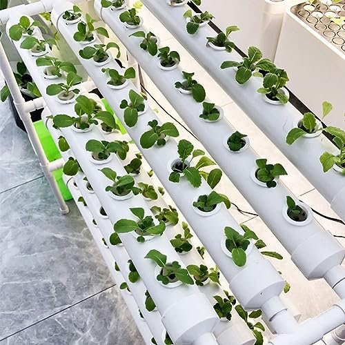 ZHEYANG Hydroponisches Anzuchtsystem, Mit Wasserpumpe, Pflanzkörbe, Schwamm, Pumpentimer, Wasserschlauch, Manuell, Herbgartenhydroponic In Innenräumen 0823